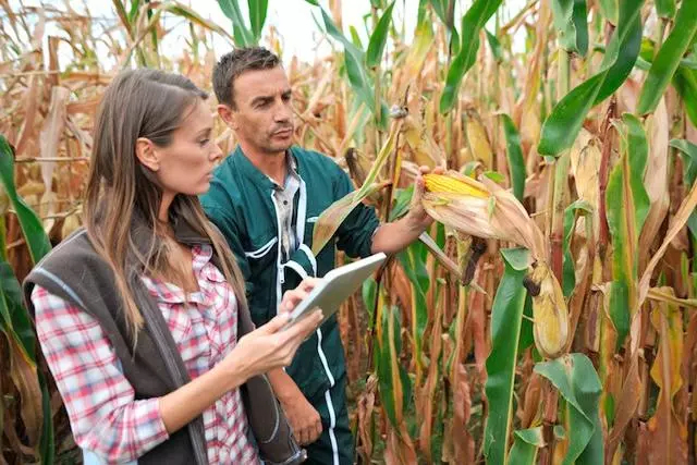 29 novembre - le imprese crescono: monitoriamo i fornitori