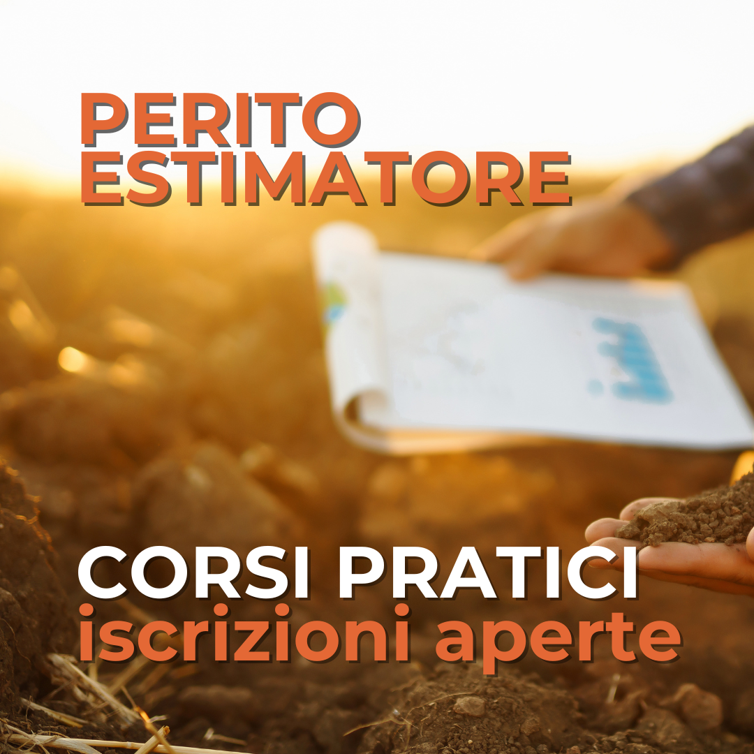 PERITO ESTIMATORE: dalla teoria alla pratica