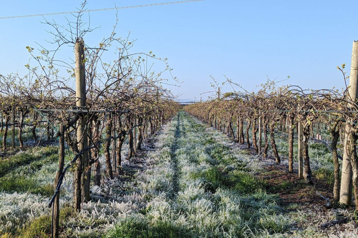 AGRICAT: arriva la richiesta di un tavolo di confronto