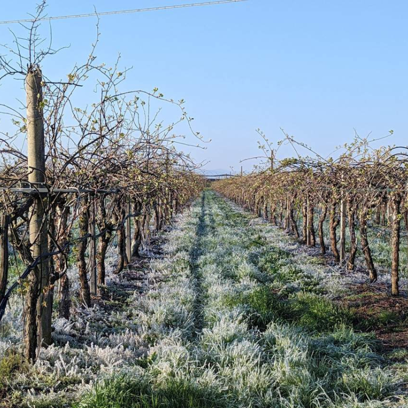 AGRICAT: arriva la richiesta di un tavolo di confronto